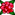 バラ