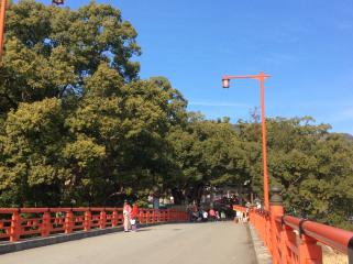 御詣り日和