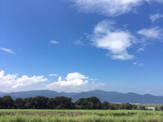 爽やか〜