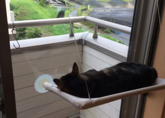 よく降りますね(>_<)