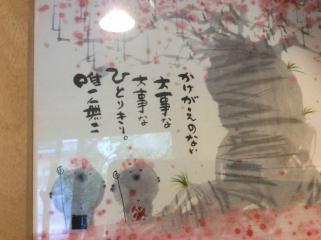 あったかい日々
