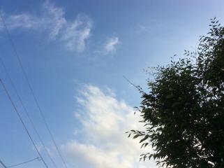 七夕