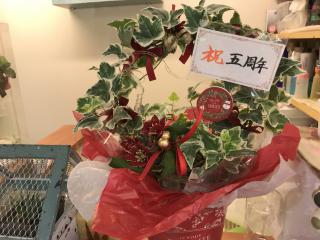 5年の歳月