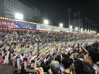 夏の思い出、阿波踊り
