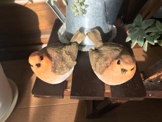 春もそこまで