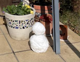 雪積もりましたね〜