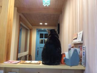 招き猫?